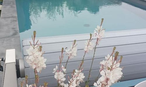 maison en Provence pour un été sous le soleil