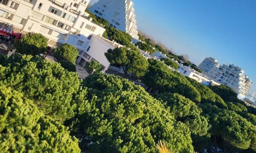 Superbe T2 vue mer, piscine et parking