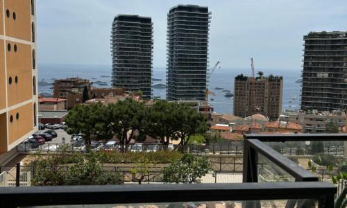 Monte-Carlo confortable apartment air-conditioned, beach 8 mn by foot