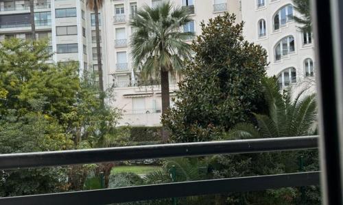 Studio 50 meters Croisette