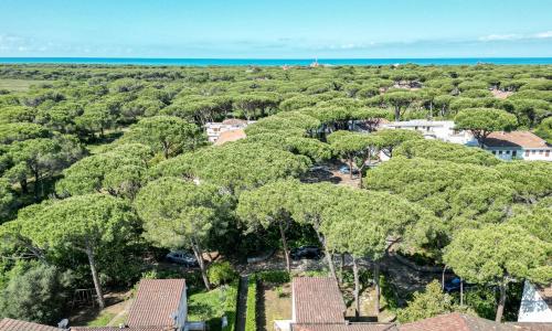 Holiday Home Casa Polipo by Interhome