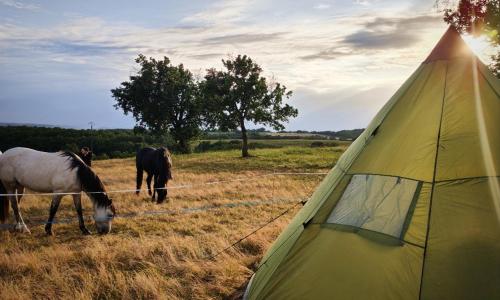 Tentes tipis en pleine nature