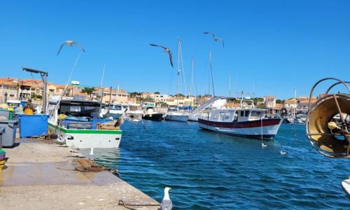 Appartement de la Côte bleue