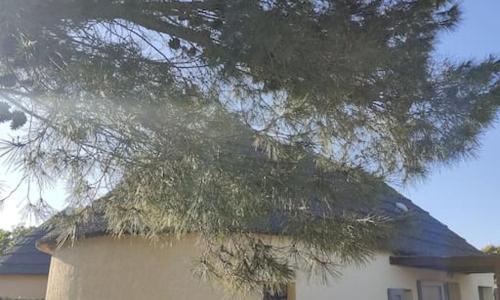 Maisonnette de vacances