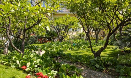 Hotel Villa Elisa & Spa