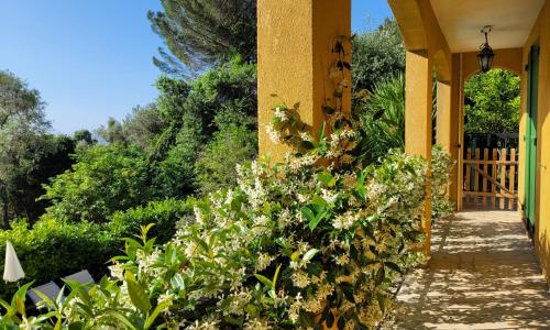 Appartement villa piscine privée