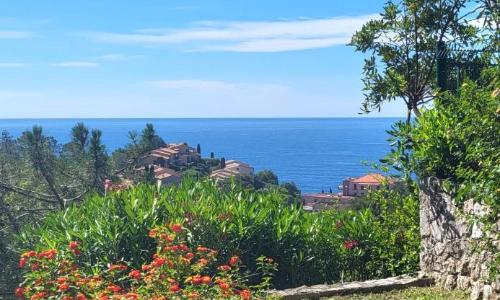 Seaview house, close Cannes, pool, garden. garage