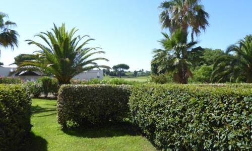 Appartement Cap d'Agde, 2 pièces, 4 personnes - FR-1-723-160