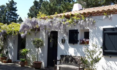 Maison Saint-Jean-de-Monts, 5 pièces, 10 personnes - FR-1-652-43