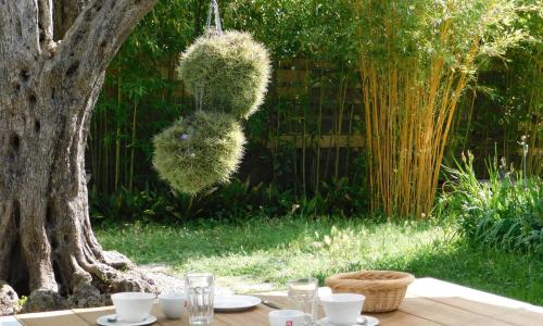 Provençal Oasis - T2