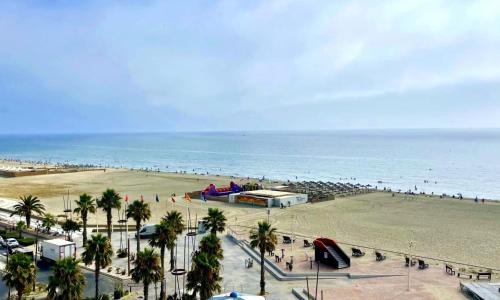 Appartement Canet-en-Roussillon, 2 pièces, 4 personnes - FR-1-748-7