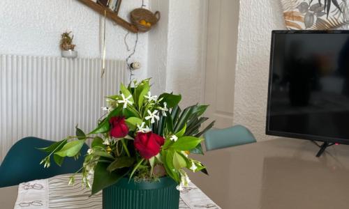 Gîte des trois Marie Studio 40m2 Fondettes Tours