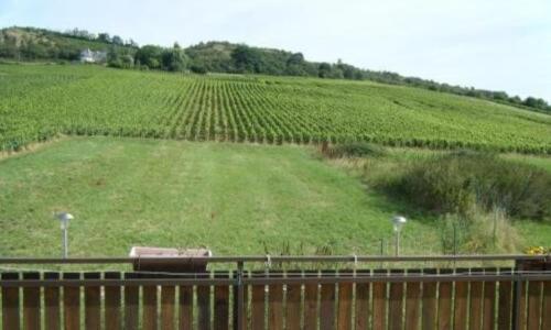 Maison au milieu des vignes