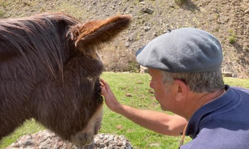 Au Graé - Maison à louer à Laruns Béarn