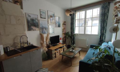 Appartement Cosy et de charme Tours centre