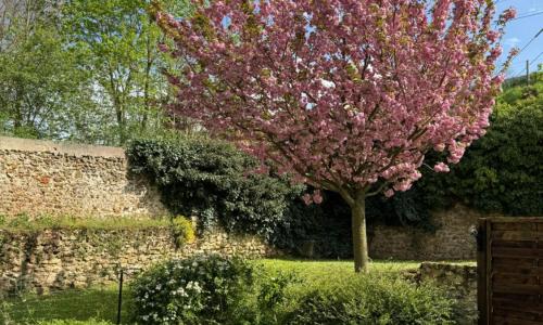 Appartement 2 chambres Cosy