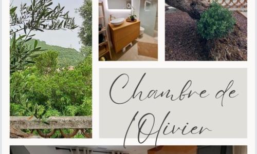 Chambre de l Olivier