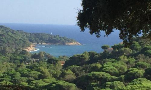 Un coin de paradis dans la presqu'ile de Saint Tropez