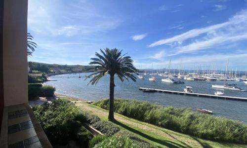 Résidence Pre Des Palmiers - 3 Pièces pour 4 Personnes 751