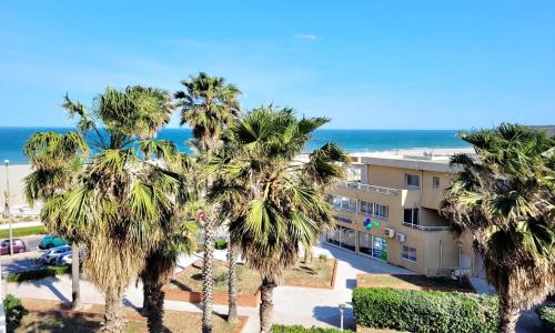 Appartement Canet-en-Roussillon, 1 pièce, 4 personnes - FR-1-794-104