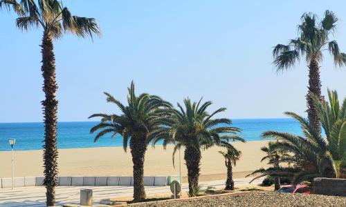 Appartement Canet-en-Roussillon, 1 pièce, 3 personnes - FR-1-794-142