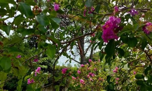 Villa indépendante avec piscine au rdc