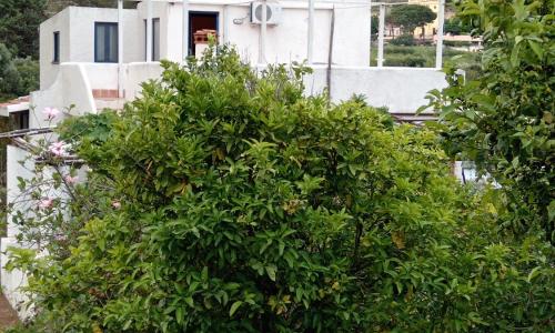 Una terrazza sulla Malvasia