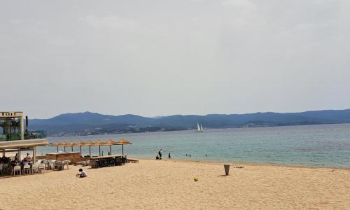 Charmant studio neuf Ajaccio Casone - Trottel