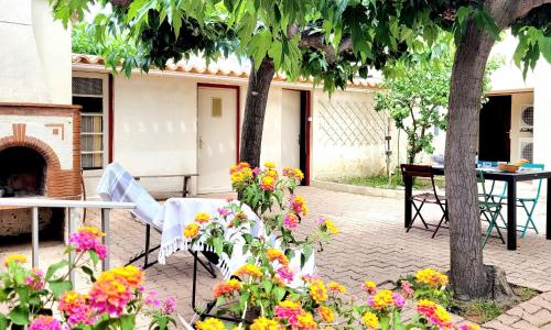 Maison Canet-en-Roussillon, 4 pièces, 6 personnes - FR-1-794-137