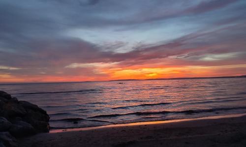 Studio dans immeuble sur plage
