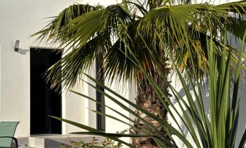 Villas Ambiance 21 Elégance Méditerranéenne à Portiragnes, entre Terre et Mer Villa Helma