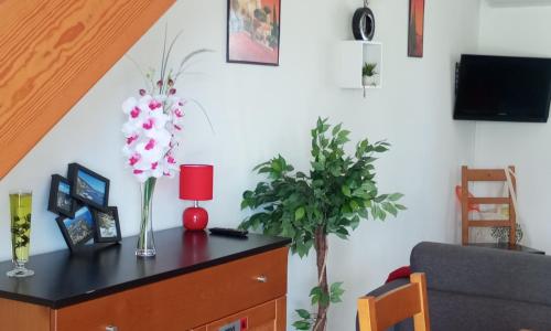 Villa climatisée A Nuciola Prunete Entre mer, montagne et piscine