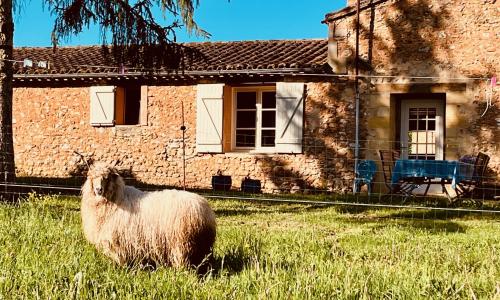 vakantiehuis op boeren erf met waanzinnig uitzicht