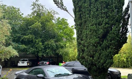 Saint dénis Appartement 1