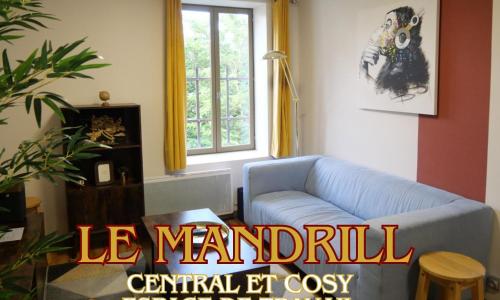 Le Mandrill - Central et coloré