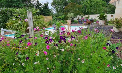 l'oasis girondine 4 étoiles