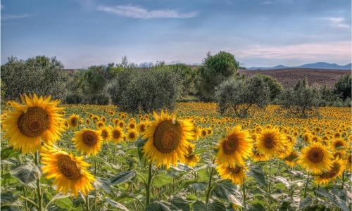 Beautiful Home In Orentano With Wifi