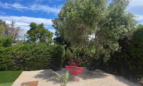 Beautiful and spacious house near the sea