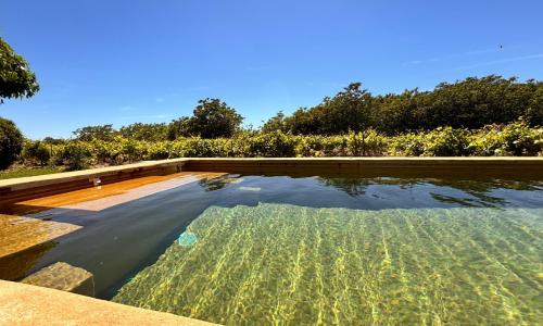 Le Mas de Bonnety - Magnifique mas 12 personnes au Pied du Mont Ventoux