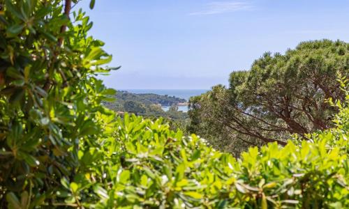Close to Gigaro beach, surrounded by nature