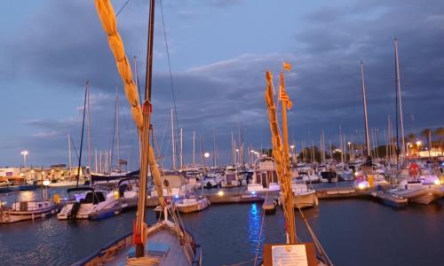 Appartement SAINT CYPRIEN Plage Résidence Les Mas de la Mer