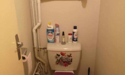 Les 4 saisons de Luchon