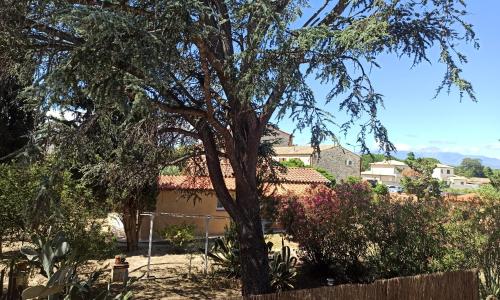 Calme et volupté avec animaux