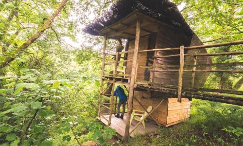 Terragora Cabanes Glamping