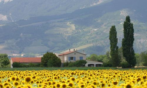 Le Mas De Saint-Ferréol Studio