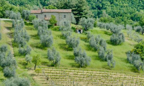 Agriturismo Bindozzino