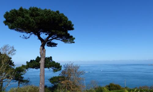 Villa Les Hydrangéas