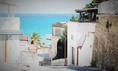 Cento Passi Dal Mare