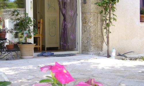 La Vigne Des Heures Claires