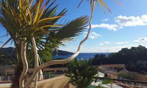 Golfe de Saint Tropez Terrasses de Sylvabelle Gigaro